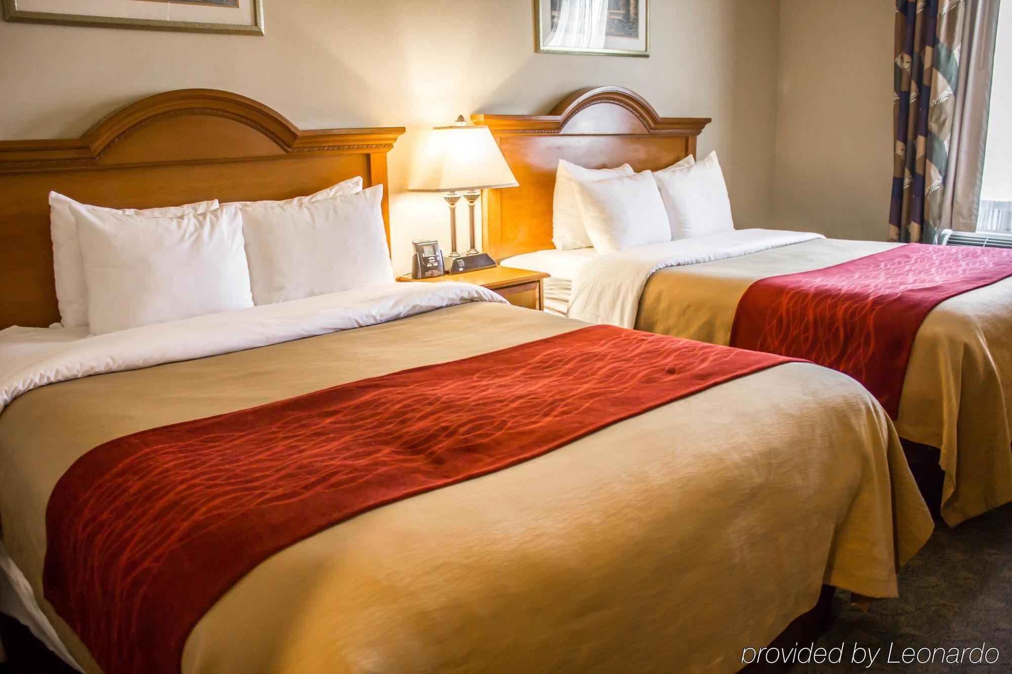 Comfort Inn Jfk Airport New York Bagian luar foto